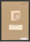 Surirella rotunda Pant. (de-Toni-Nr.: Genus 53, Species 2275) Zeichnungen Sammlung Grunow Nr. 4717 (NHMW-BOT-W0372812)
